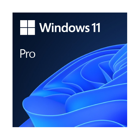 Microsoft Windows 11 Professional 64bit Polish
